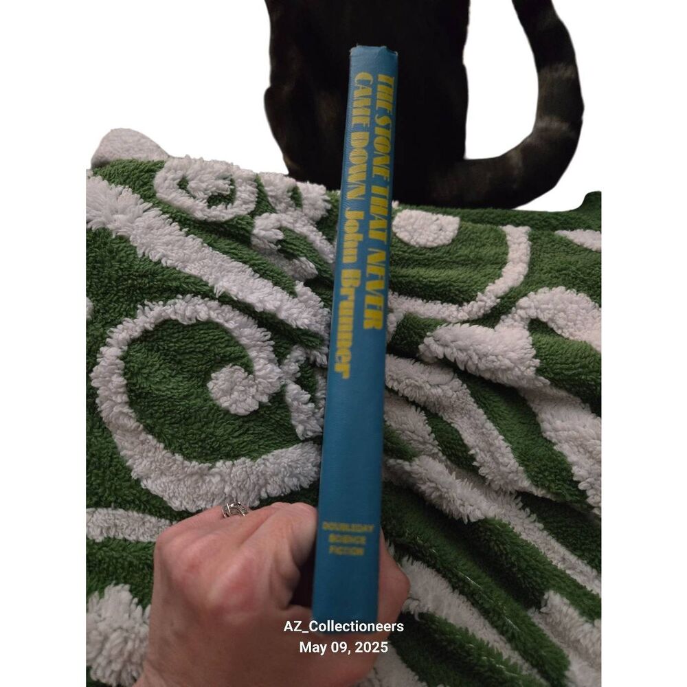 The stone that never came down by John Brunmmer - doubleday books